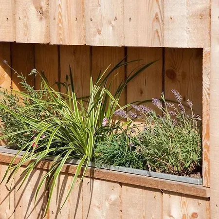 House Mylin Ferienhaus